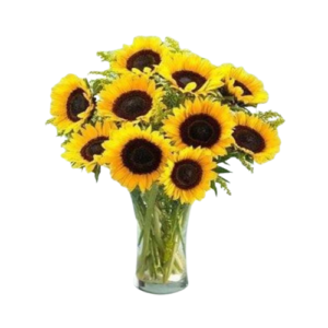 Energía y Alegría Florero de 10 Girasoles