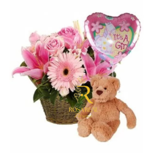 Dulce Bienvenida Bebe