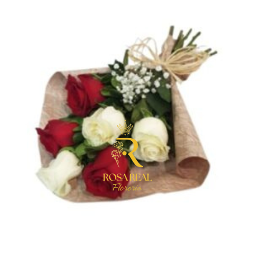 Bajo el Cielo de Dos Colores