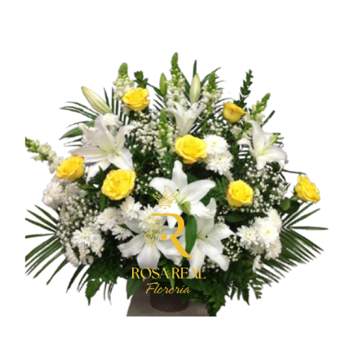 Base de Alegría y Elegancia Natural