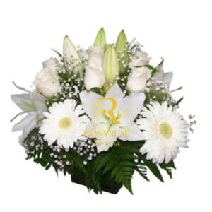 Elegancia y Pureza en una Presentación Sofisticada