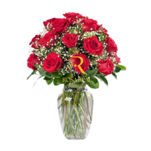 Florero con 24 rosas rojas frescas para regalo romántico