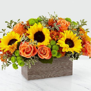 Hermoso Arreglo de 6 Girasoles y 6 Rosas a elegir color