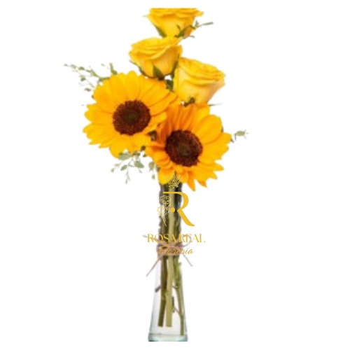 Brillo y Ternura en Florero