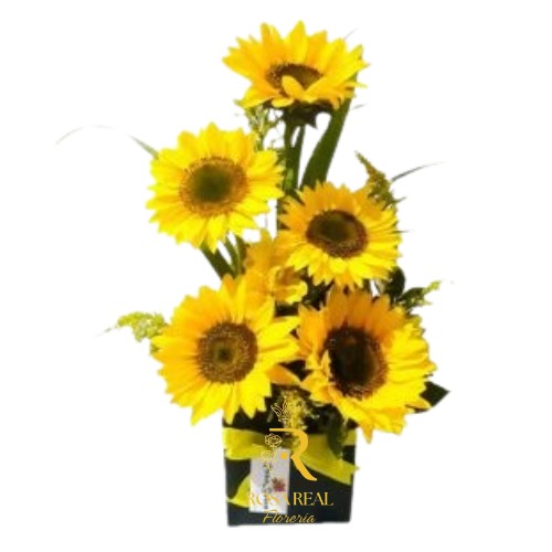 Box de Soles y Sonrisas