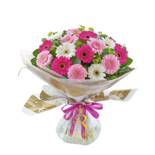 20 Gerberas de Alegría y Color