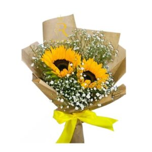 Dos Rayos de Sol y Naturaleza