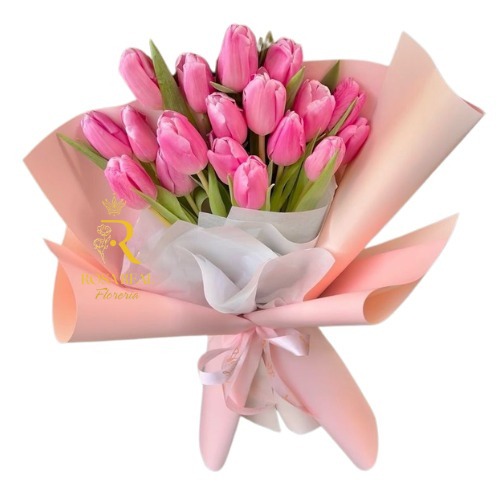 Veinte Colores de Primavera de 20 tulipanes