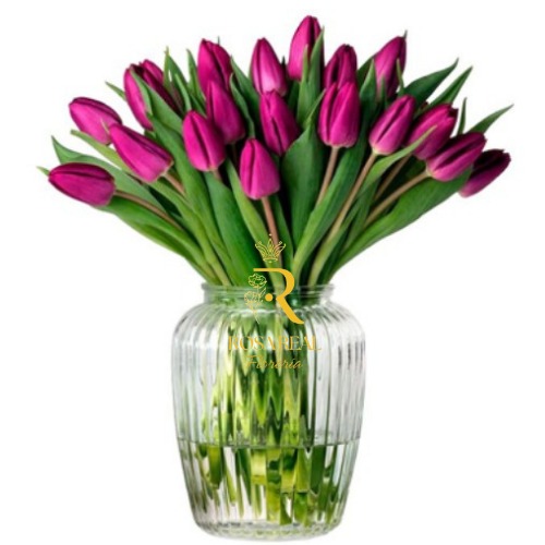 Esplendor floral de 30 tulipanes