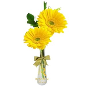 Florero con gerberas amarillas de luz y brillo.