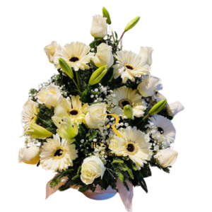 Box Floral con 12 Rosas, 8 Gerberas y Astromelias