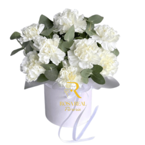 Arreglo Puro y Elegante 10 claveles