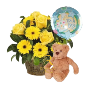 Canasta para Nacimiento de Niño