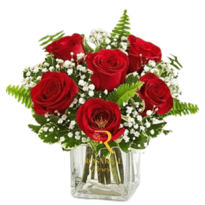 Elegancia Compacta para Decorar o regalar