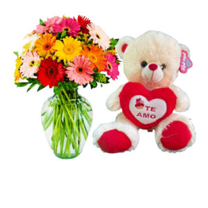 Florero Color y Cariño 20 Gerberas y Peluche