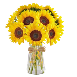Arreglo Luminoso Florero de 10 Girasoles