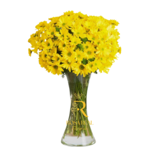 Arreglo Alegre y Luminoso de margaritas