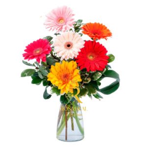 Florero de 6 Gerberas Surtidas Arreglo Colorido