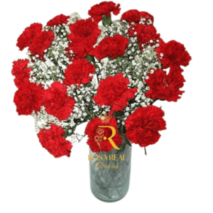 Florero de 20 Claveles Rojos