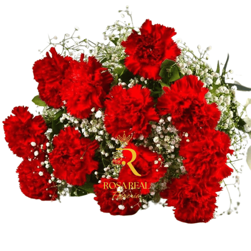 Ramo de 20 Claveles Naturales