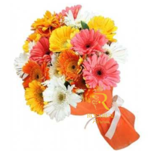 Ramo de 20 Gerberas surtidas