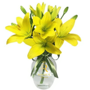 Florero con 5 Lilium Amarillos