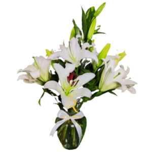 Florero con 5 Lilium Blancos