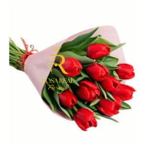 Amor Sofisticado y Elegante 10 Tulipanes Rojos