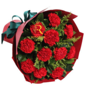 Ramo de 10 claveles rojos frescos, elegante y romántico, ideal para regalar - Rosa Real