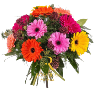 Ramo de 10 Gerberas Multicolor