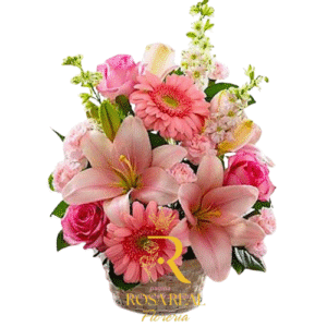 Canasta Surtida de Gerberas Rosas y Claveles
